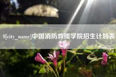 招远中国消防救援学院招生计划表