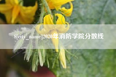 招远2020年消防学院分数线