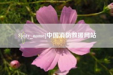 招远中国消防救援网站