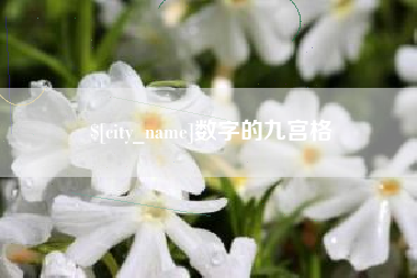招远数字的九宫格