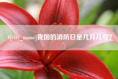 招远我国的消防日是几月几号？