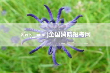 招远全国消防招考网