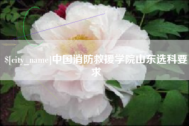 招远中国消防救援学院山东选科要求