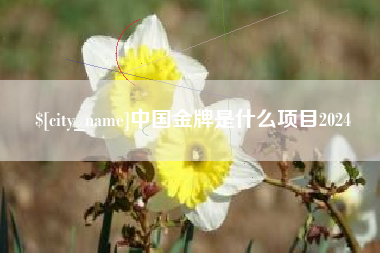 招远中国金牌是什么项目2024