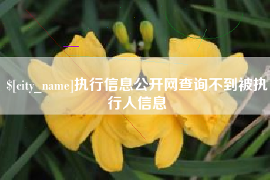 招远执行信息公开网查询不到被执行人信息