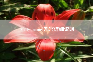 招远九宫详细说明