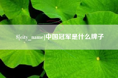 招远中国冠军是什么牌子