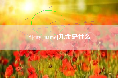 招远九金是什么