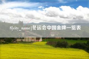 招远冬运会中国金牌一览表
