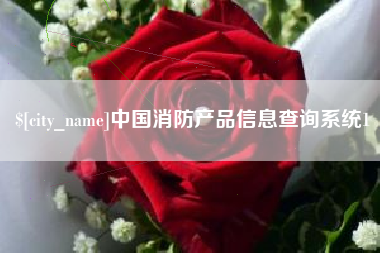 招远中国消防产品信息查询系统1