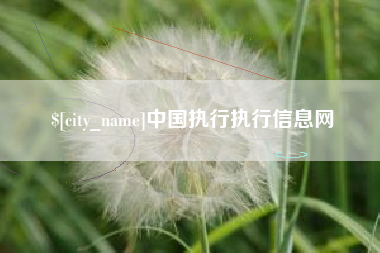招远中国执行执行信息网
