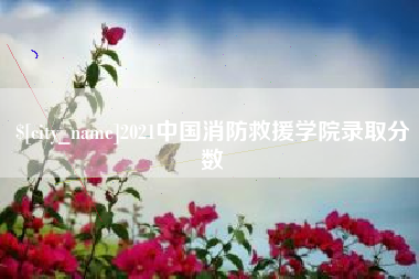 招远2021中国消防救援学院录取分数