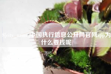 招远中国执行信息公开网官网app为什么要钱呢
