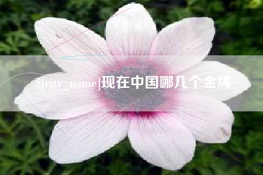 招远现在中国哪几个金牌