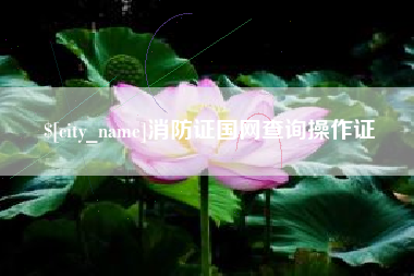 招远消防证国网查询操作证