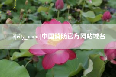 招远中国消防官方网站域名