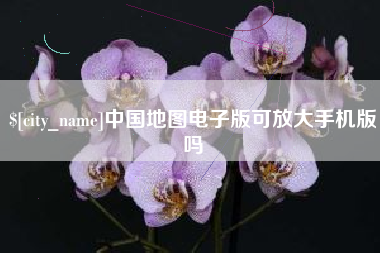 招远中国地图电子版可放大手机版吗
