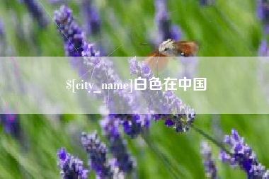招远白色在中国