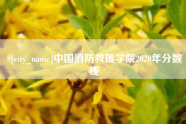 招远中国消防救援学院2020年分数线
