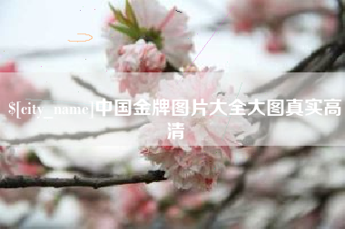 招远中国金牌图片大全大图真实高清