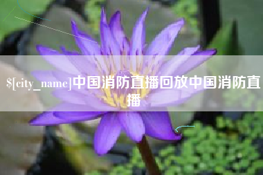 招远中国消防直播回放中国消防直播
