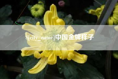 招远中国金牌样子