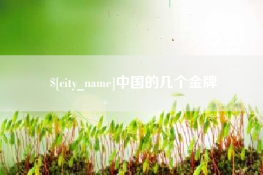 招远中国的几个金牌