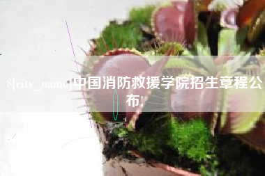 招远中国消防救援学院招生章程公布!