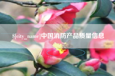 招远中国消防产品质量信息
