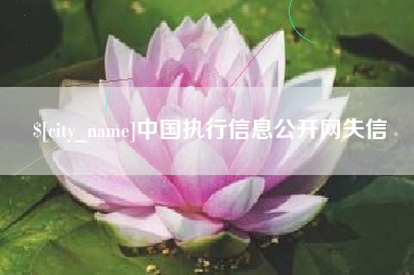 招远中国执行信息公开网失信