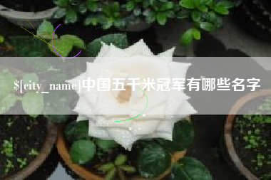 招远中国五千米冠军有哪些名字