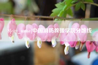 招远中国消防救援学院分数线