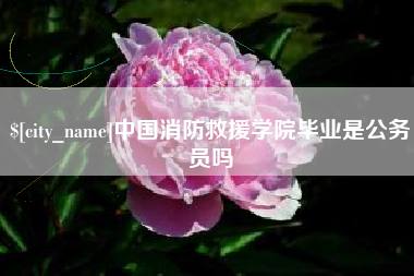 招远中国消防救援学院毕业是公务员吗