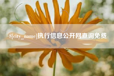 招远执行信息公开网查询免费
