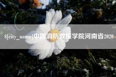 招远中国消防救援学院河南省2020